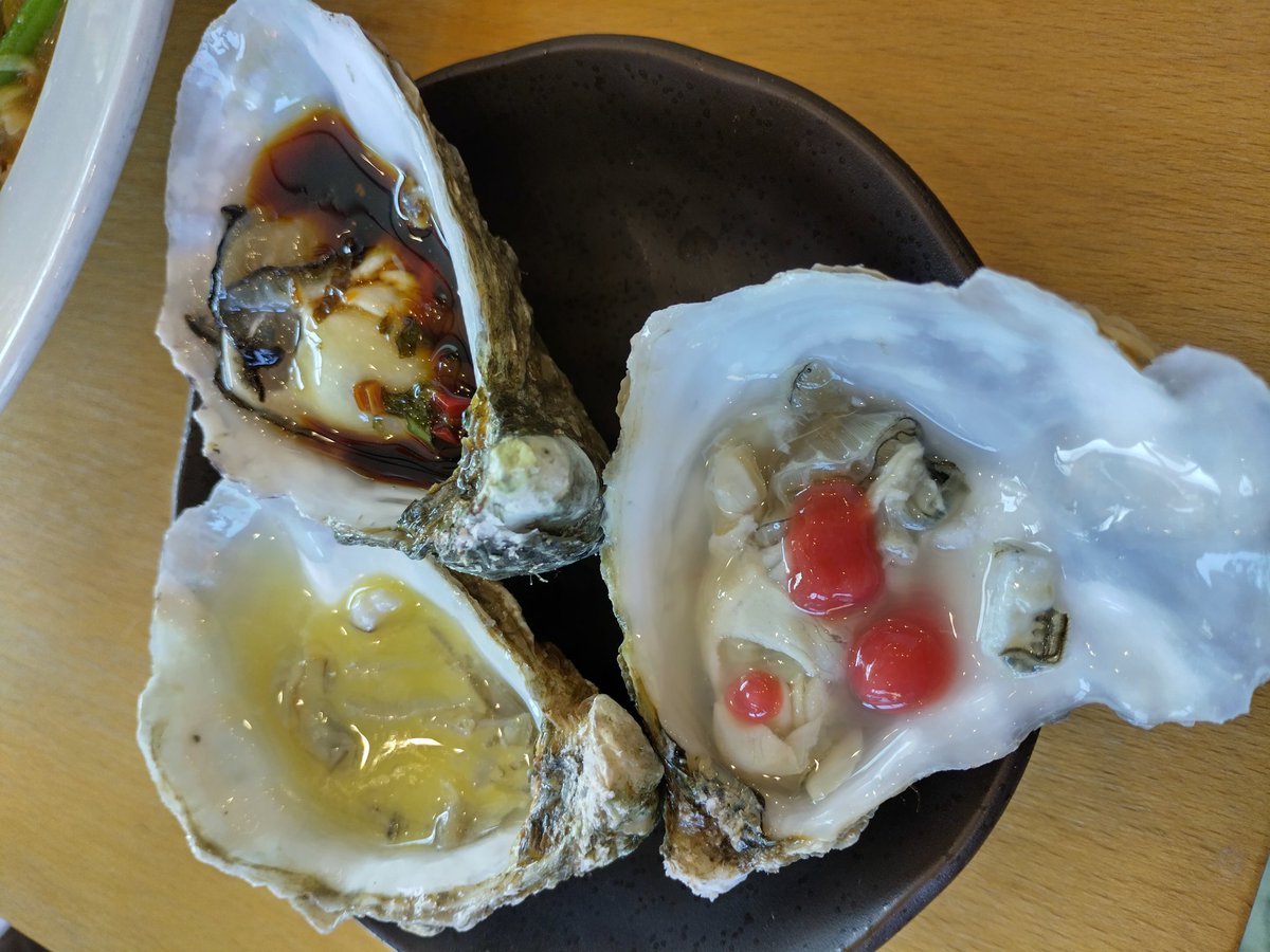 Fiona Shoop tweet media