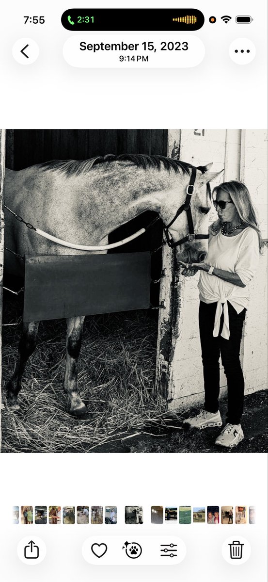 maggi moss tweet media