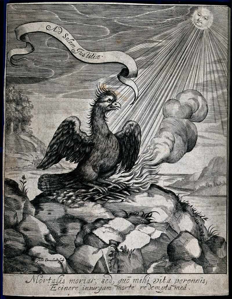 Lobstar Wilde tweet media