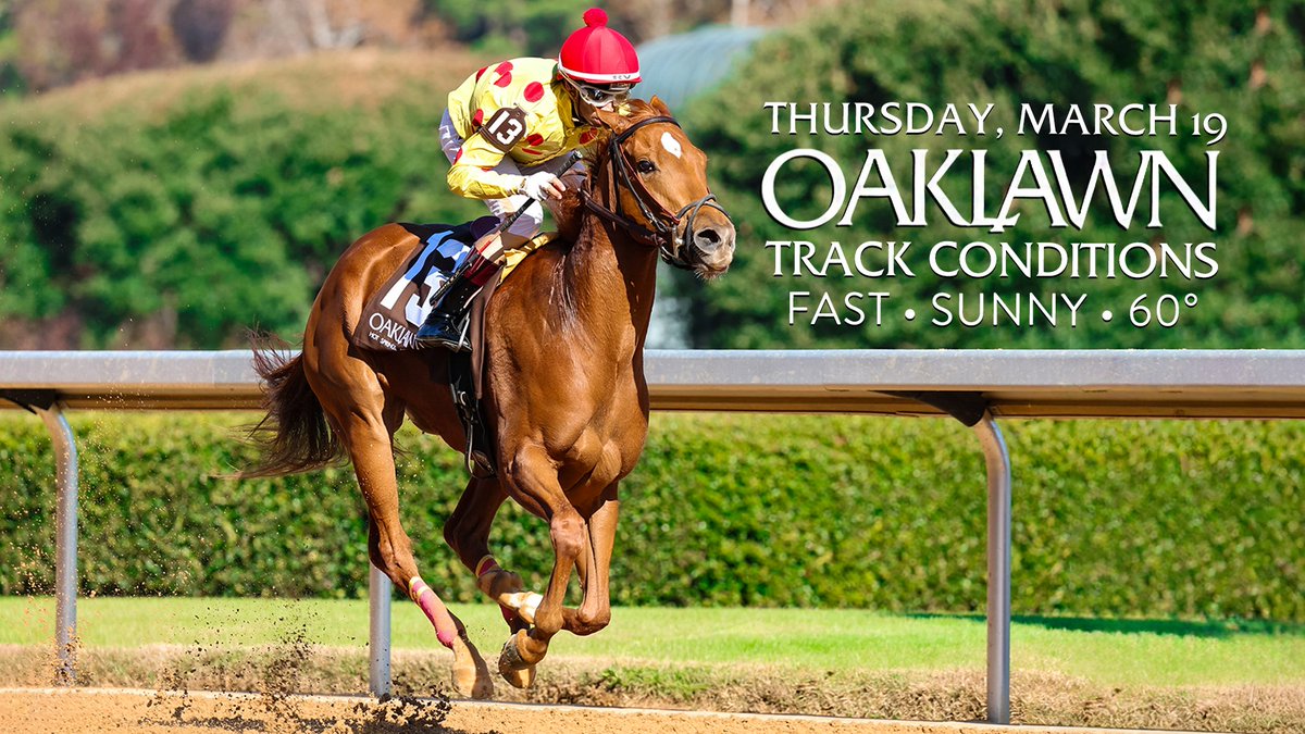 Oaklawn Hot Springs tweet media