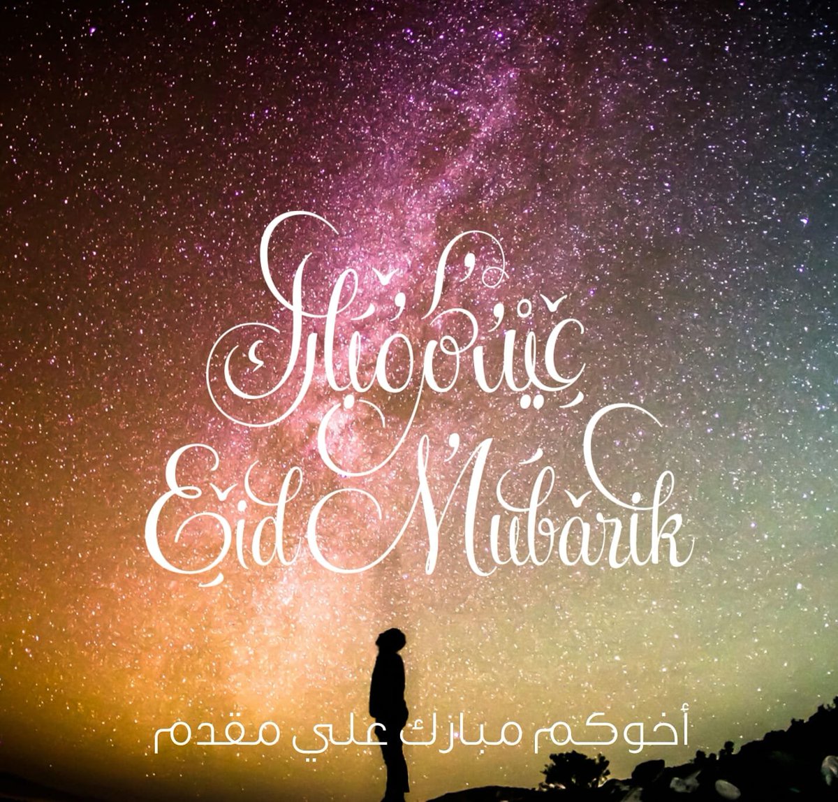 مبارك بن علي مقدم tweet media