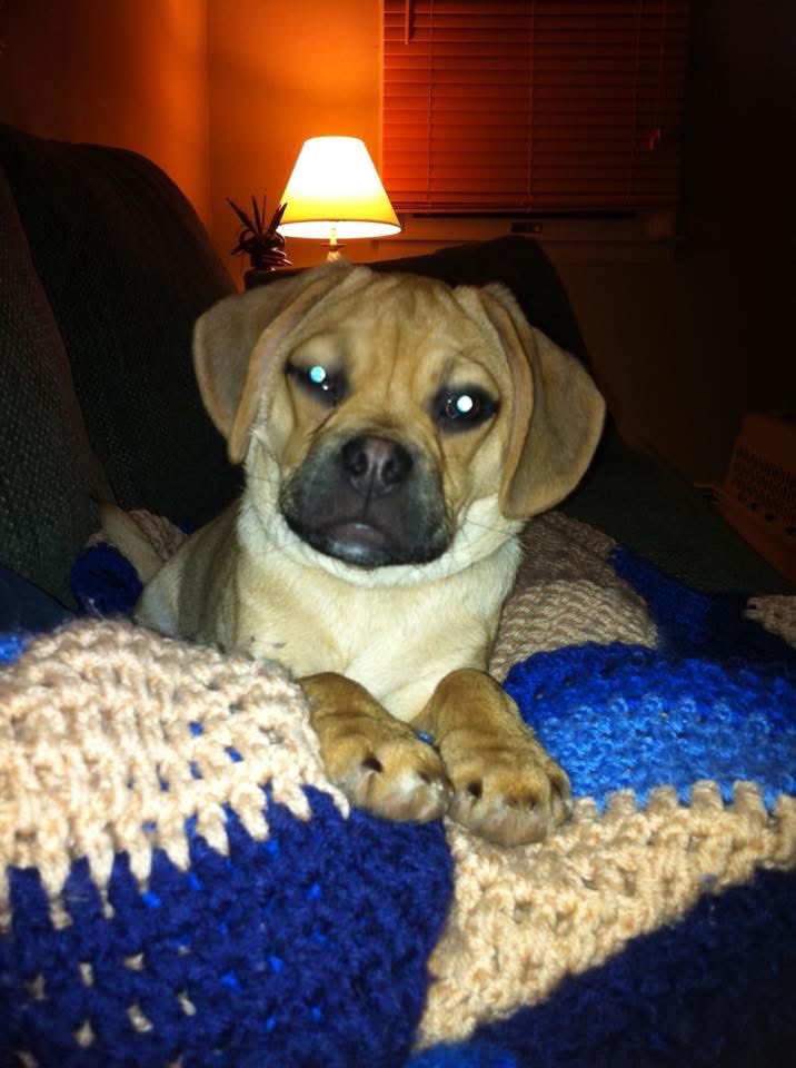 Robb InThe321 tweet media