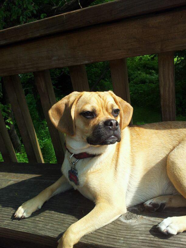 Robb InThe321 tweet media