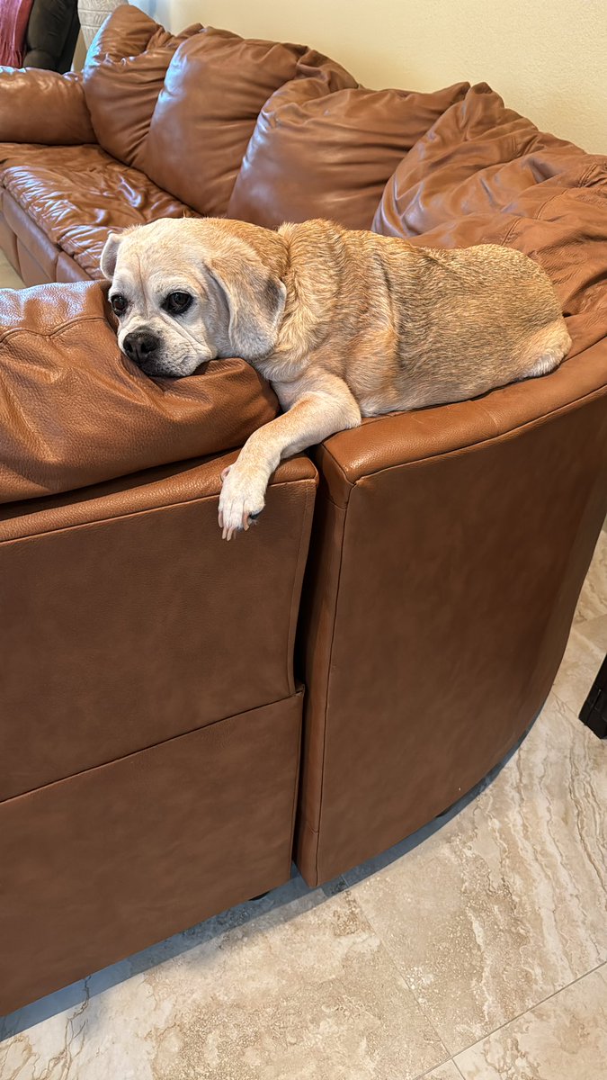 Robb InThe321 tweet media