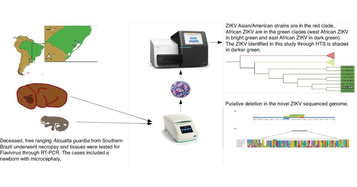 Zoonoses tweet media