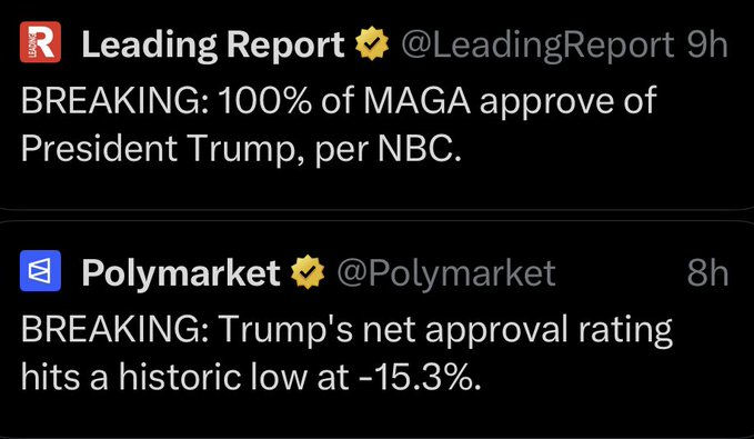 ThePatrioticBlonde🇺🇸 tweet media