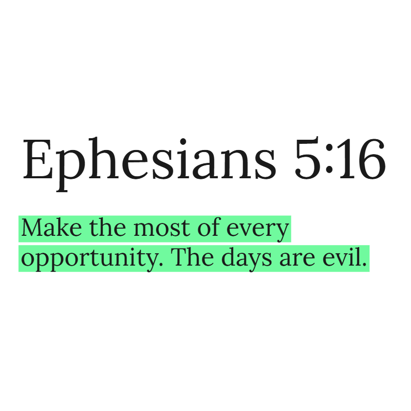 Holy Bible tweet media