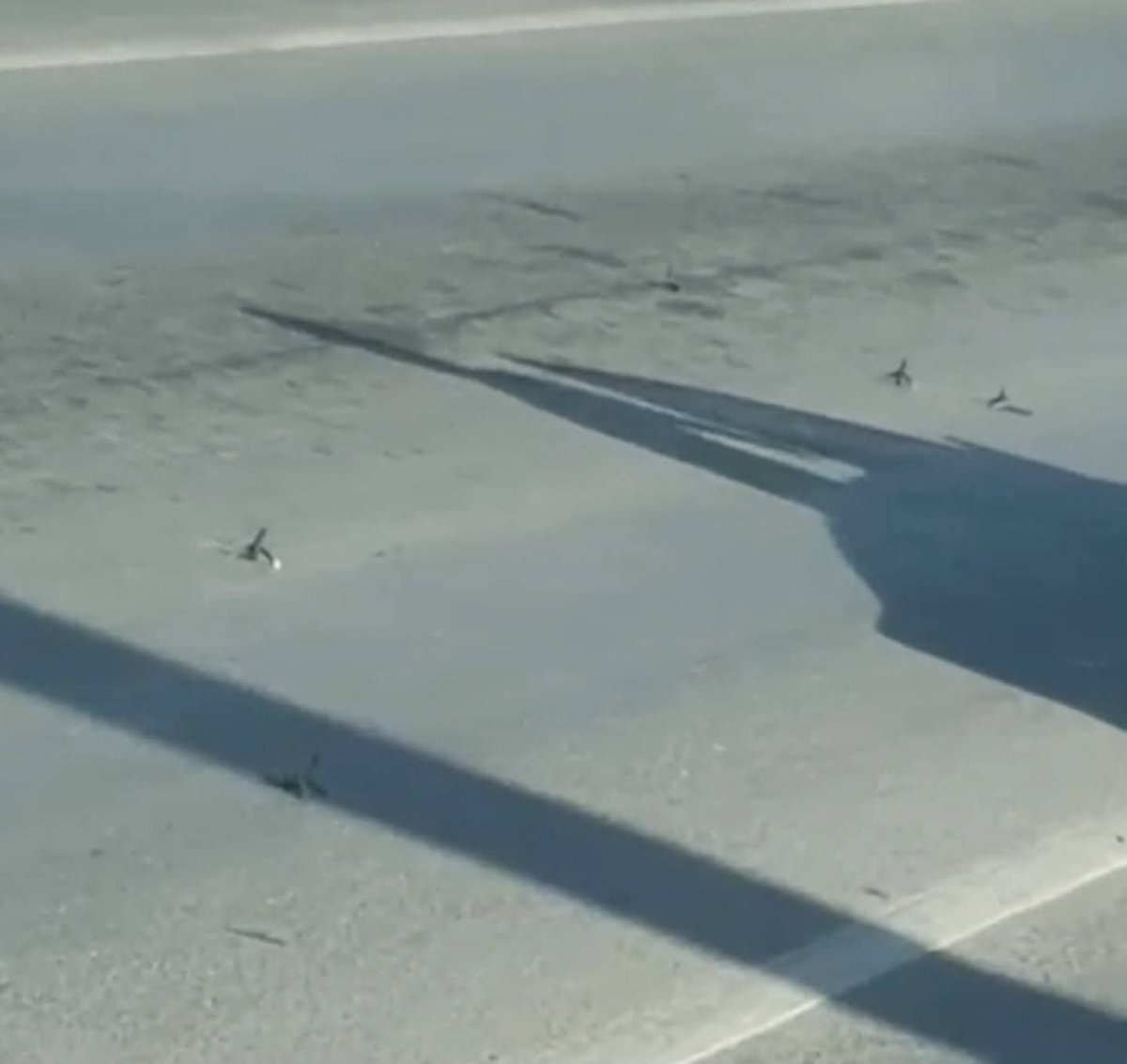 VALOR POR TAMAULIPAS tweet media