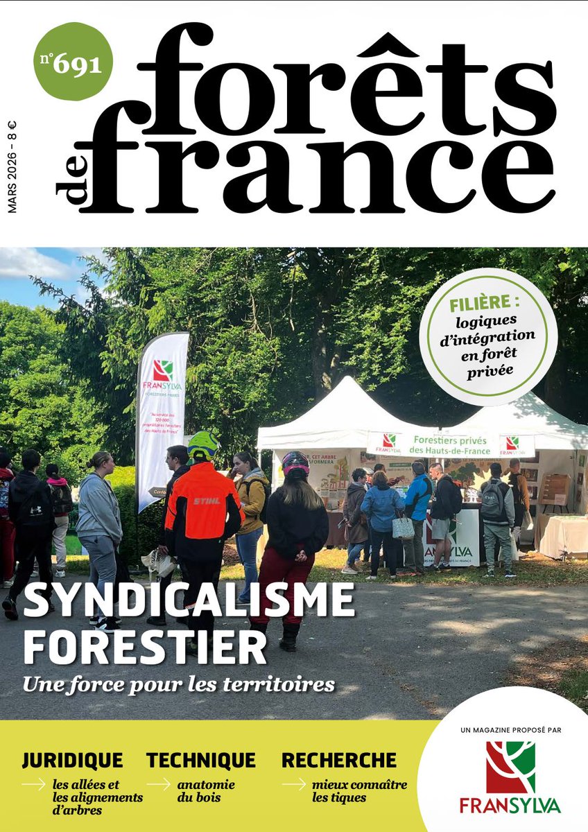 Fransylva tweet media