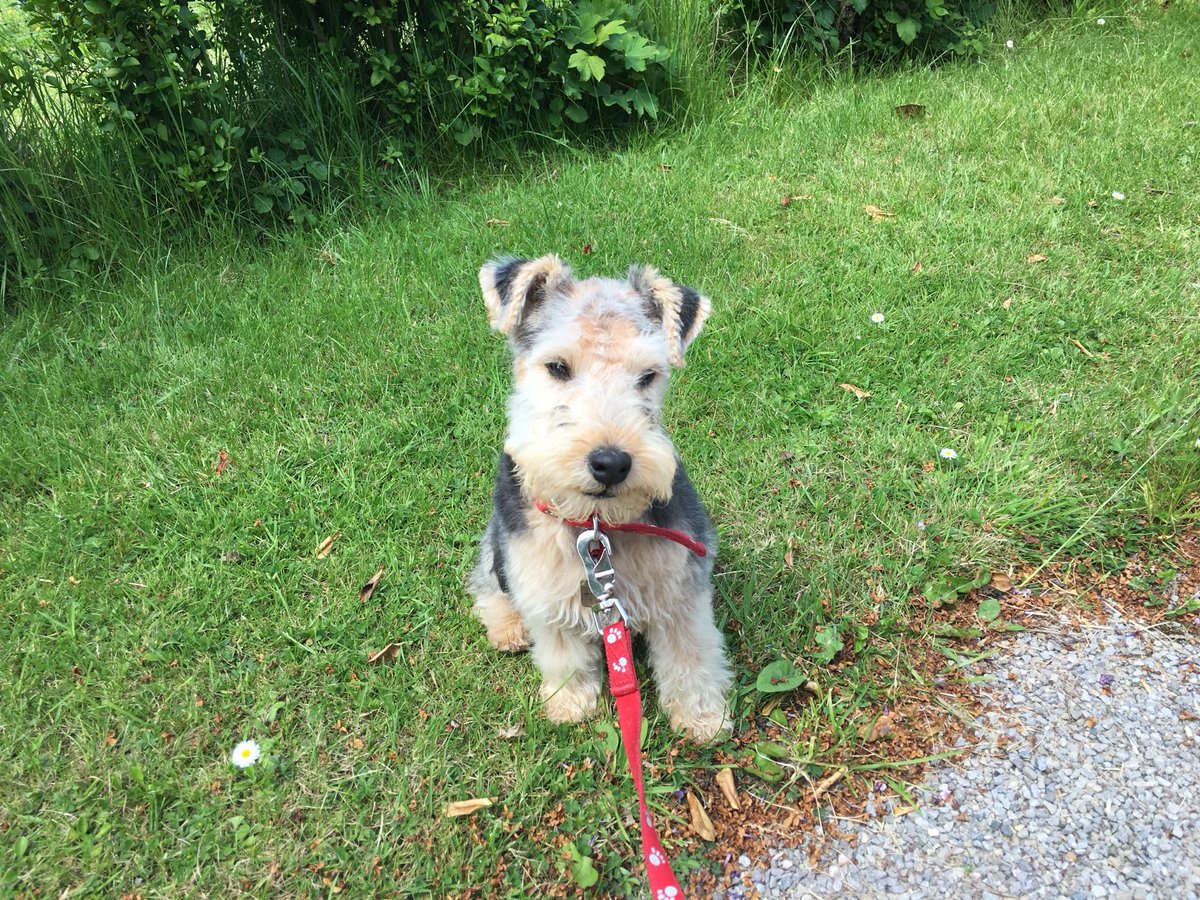 Bertie Lakeland tweet media