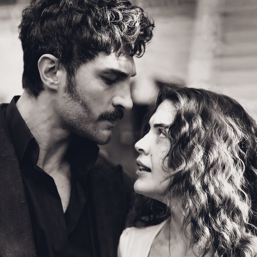 Star🌟 tweet media