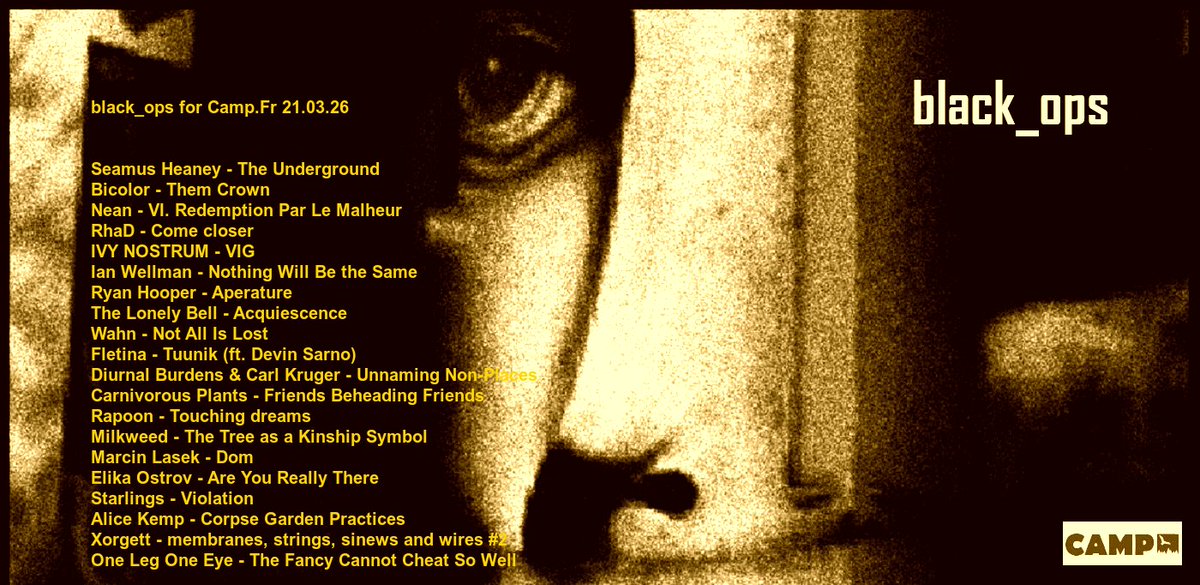 black_ops tweet media