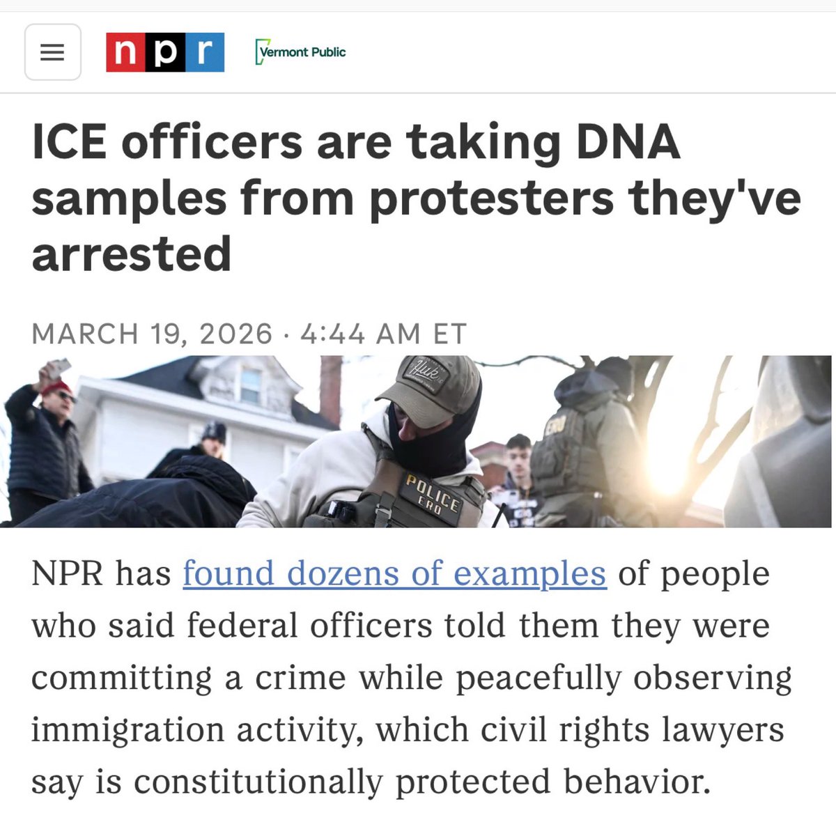 Melanie D'Arrigo tweet media