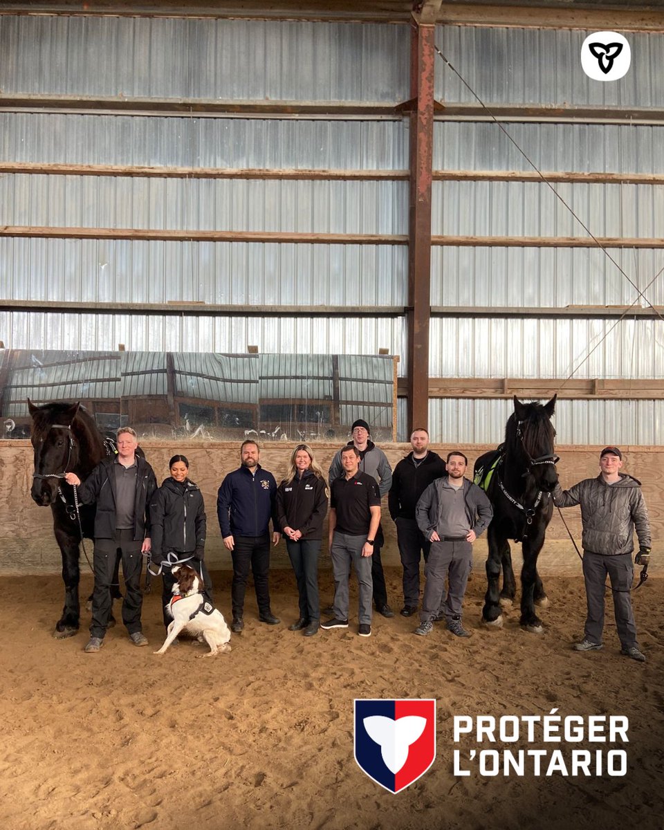 ONpréparé tweet media