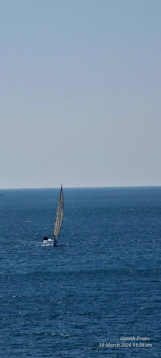 Gareth Evans Gammonologist ⚓️⚓️ tweet media