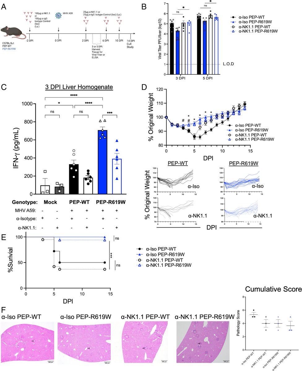 Waggoner Lab tweet media