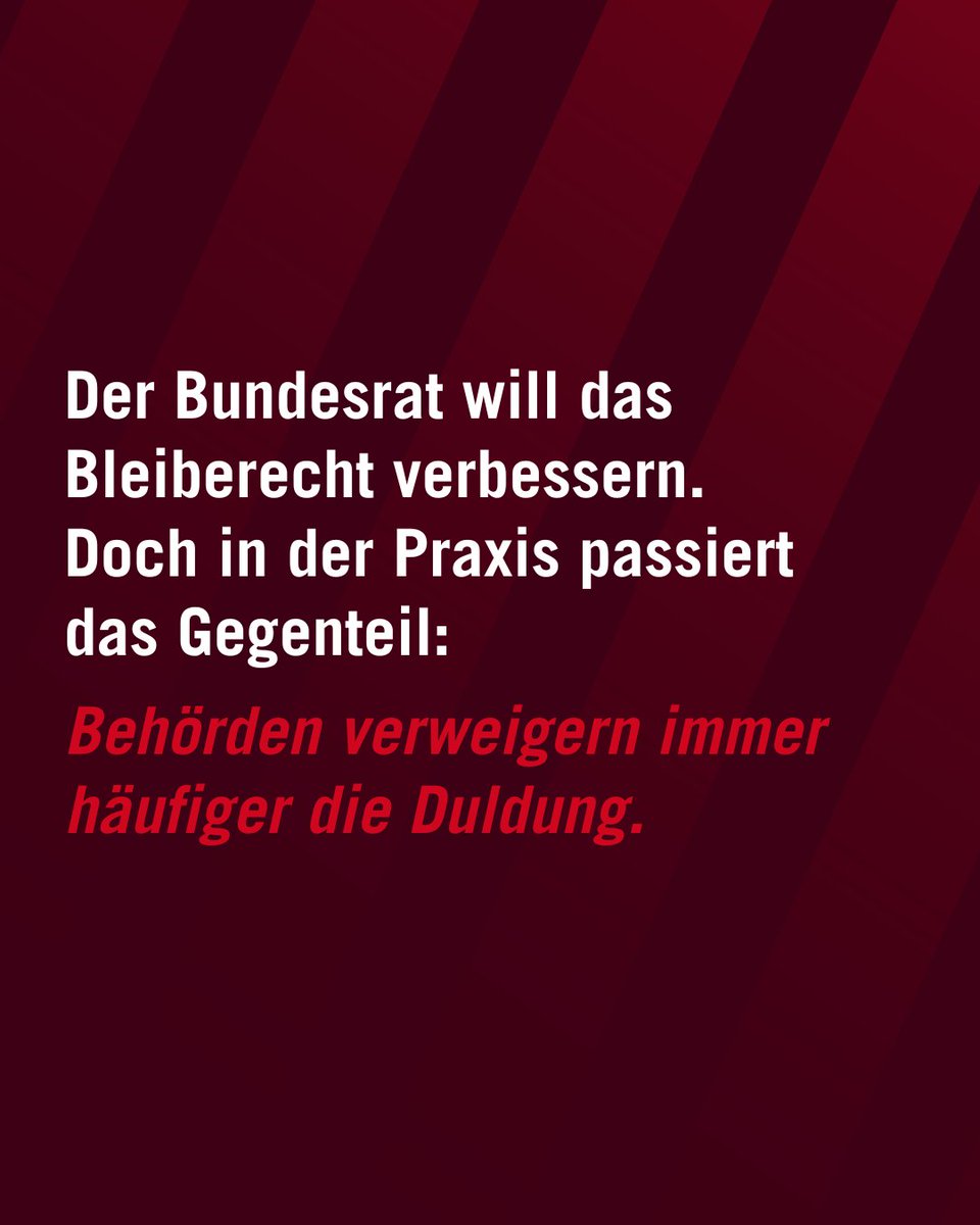 PRO ASYL tweet media