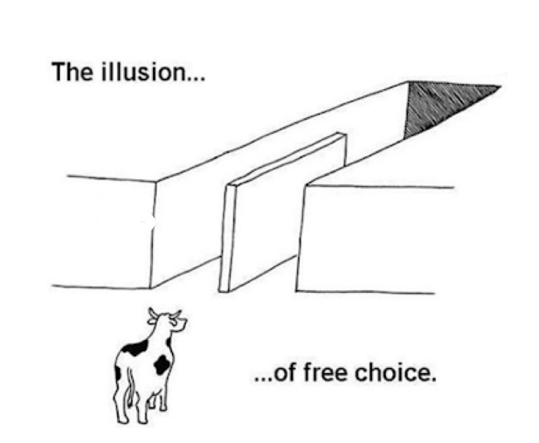 EFE (Founder Arc) tweet media