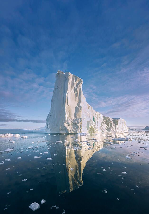 Joan Carroll tweet media