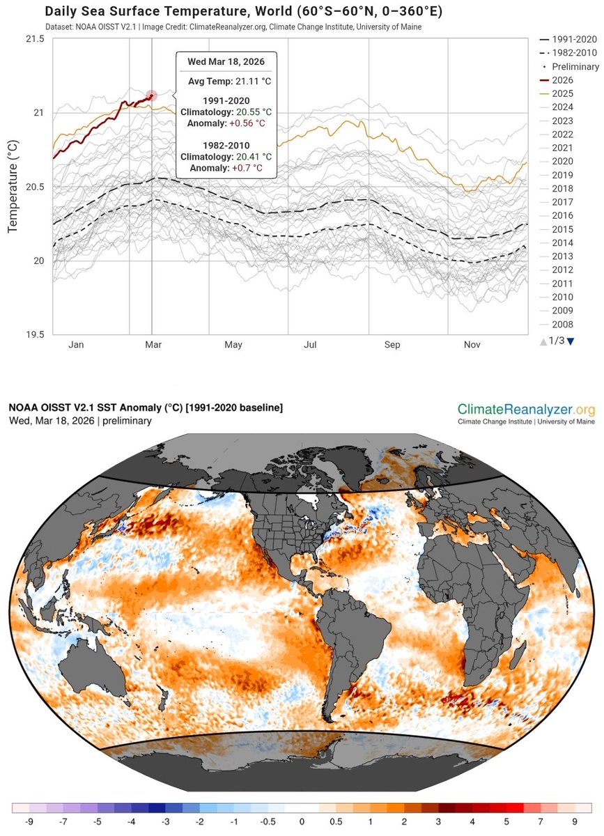 Leon Simons 🌍 tweet media