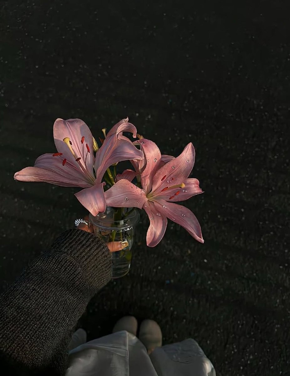 Bloomify tweet media