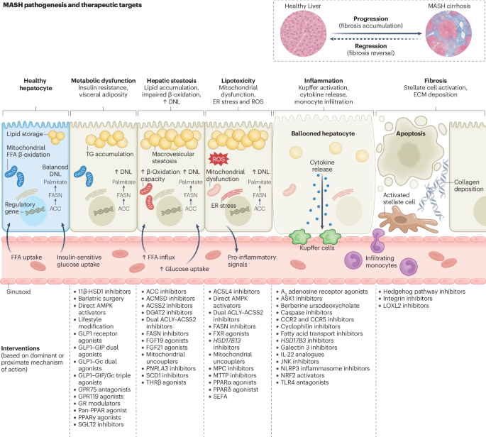 Nature Reviews Gastroenterology & Hepatology tweet media