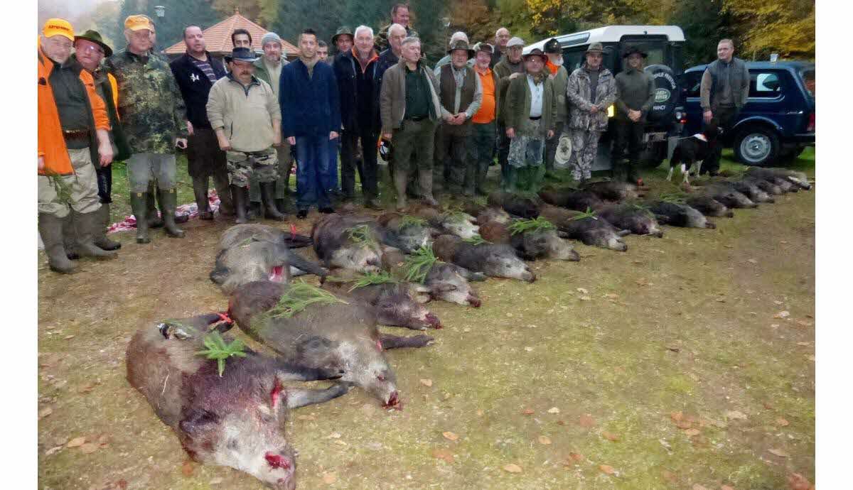 Maitre Christophe Gerard tweet media