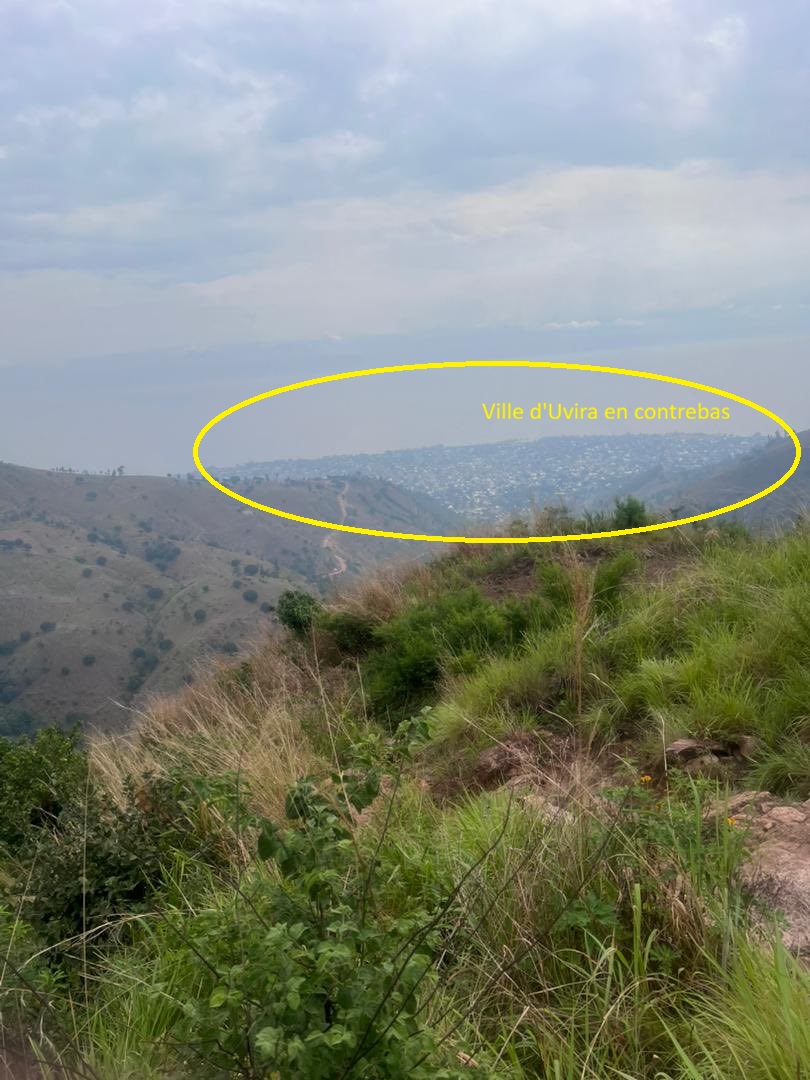 Benjamin Babunga Watuna tweet media