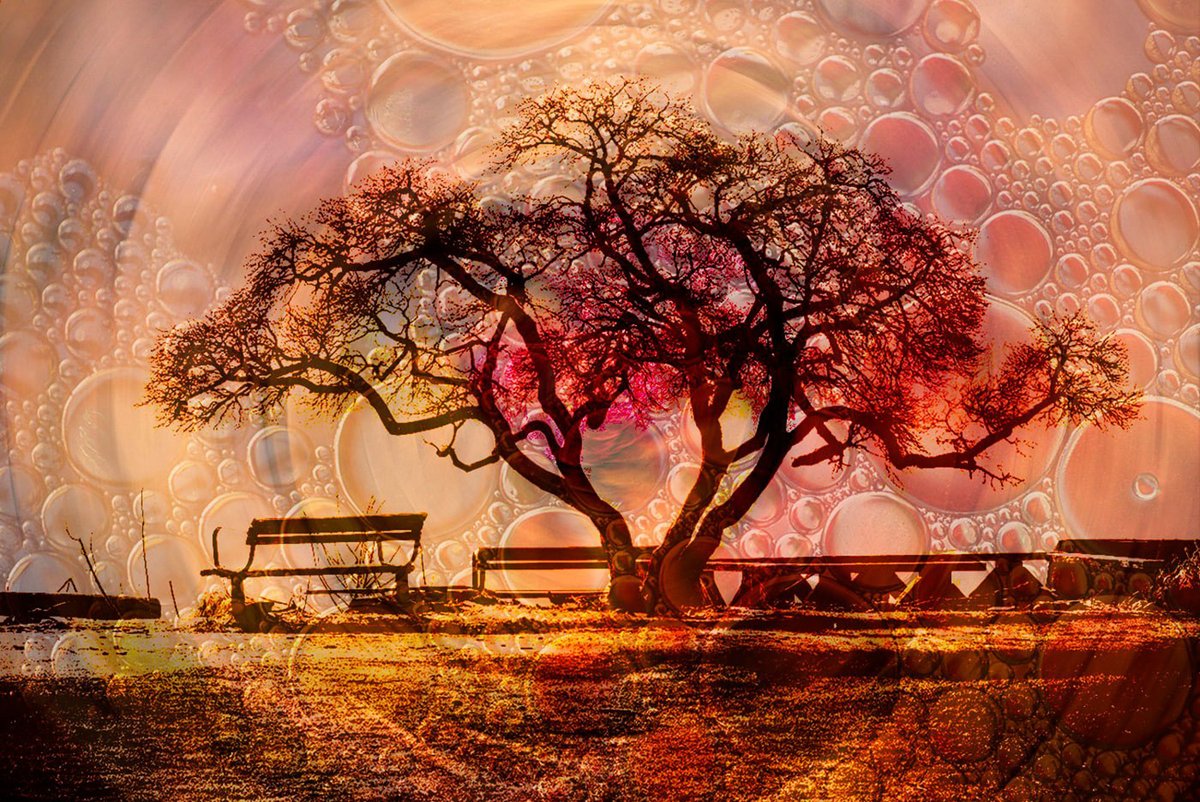 Stephanie Alexandra tweet media