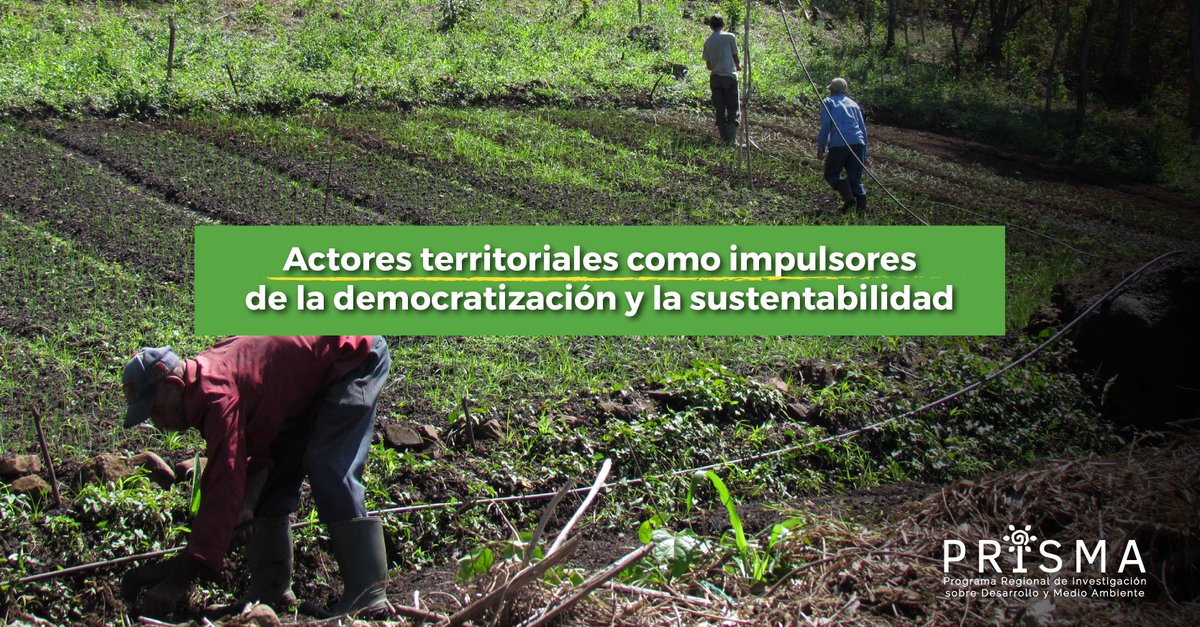 prisma_org's tweet photo. Frente a todas estas dinámicas, las organizaciones campesinas, indígenas y afrodescendientes siguen liderando los esfuerzos por frenar la degradación ambiental y construir resiliencia socioambiental. https://t.co/D2ml5ePali