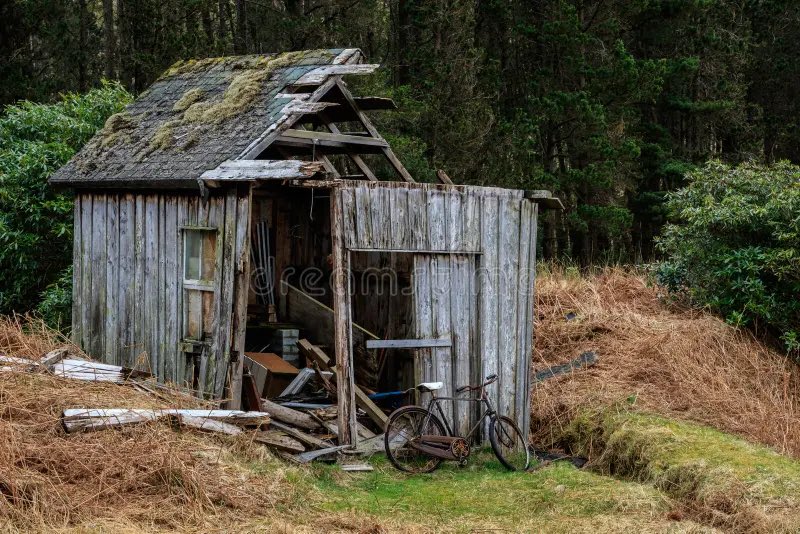 T.R. Sartor tweet media