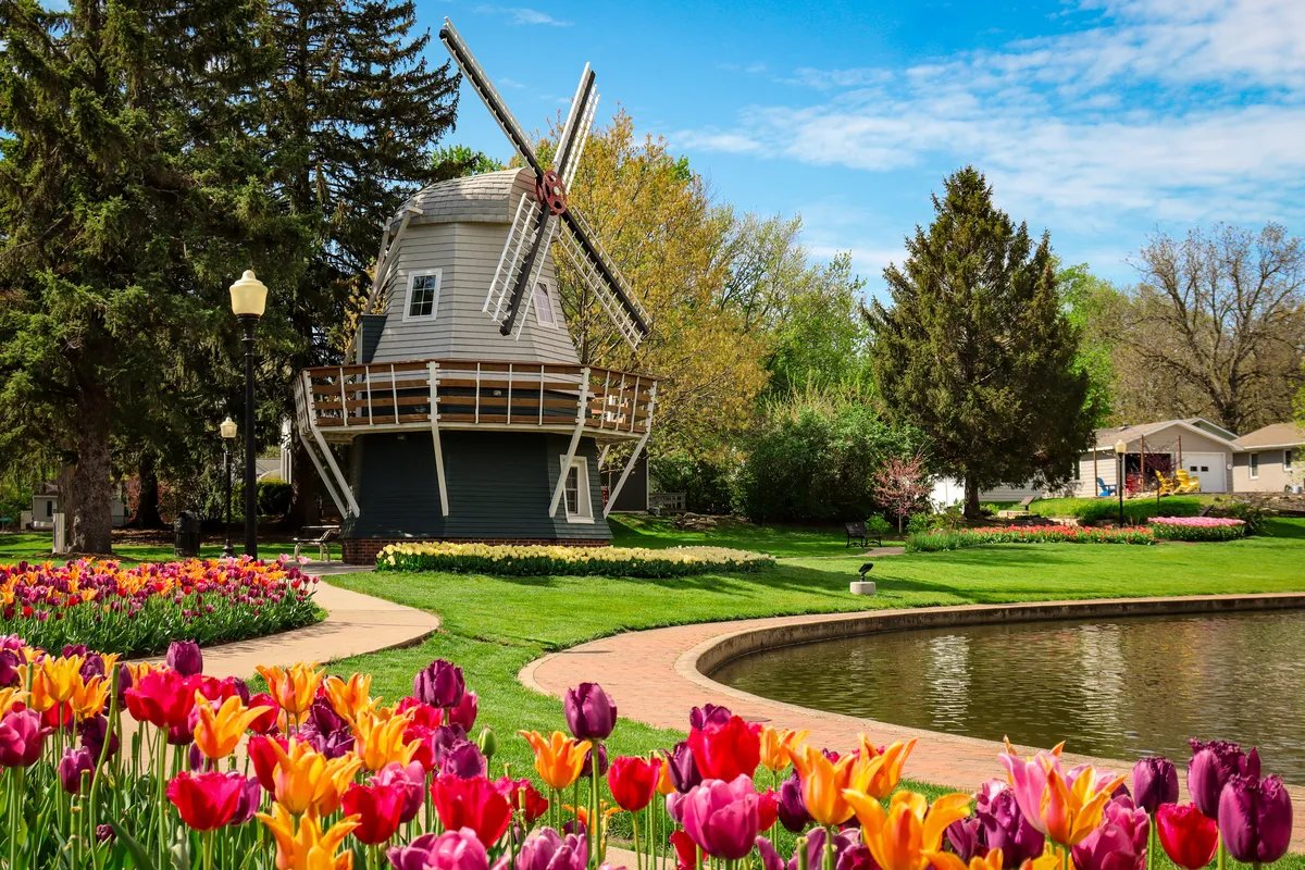 The Timeless Traveler tweet media