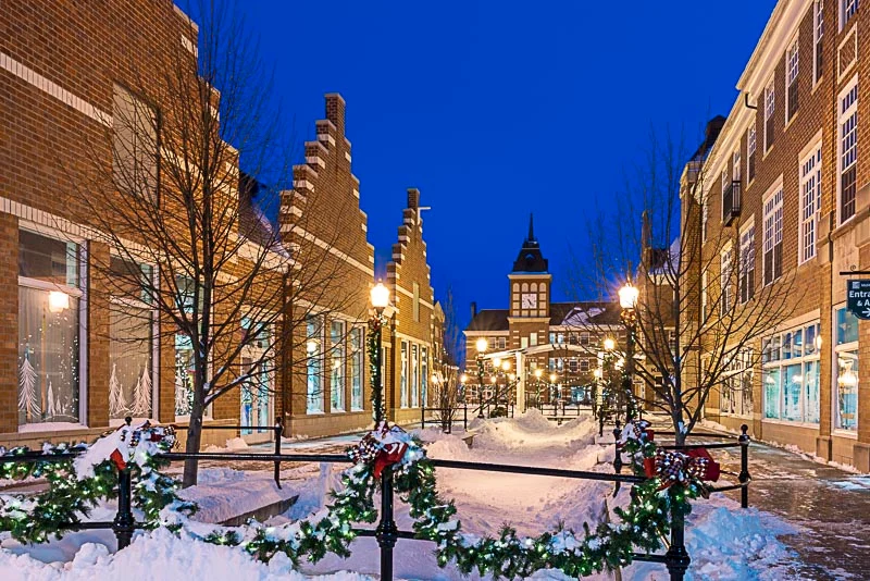 The Timeless Traveler tweet media