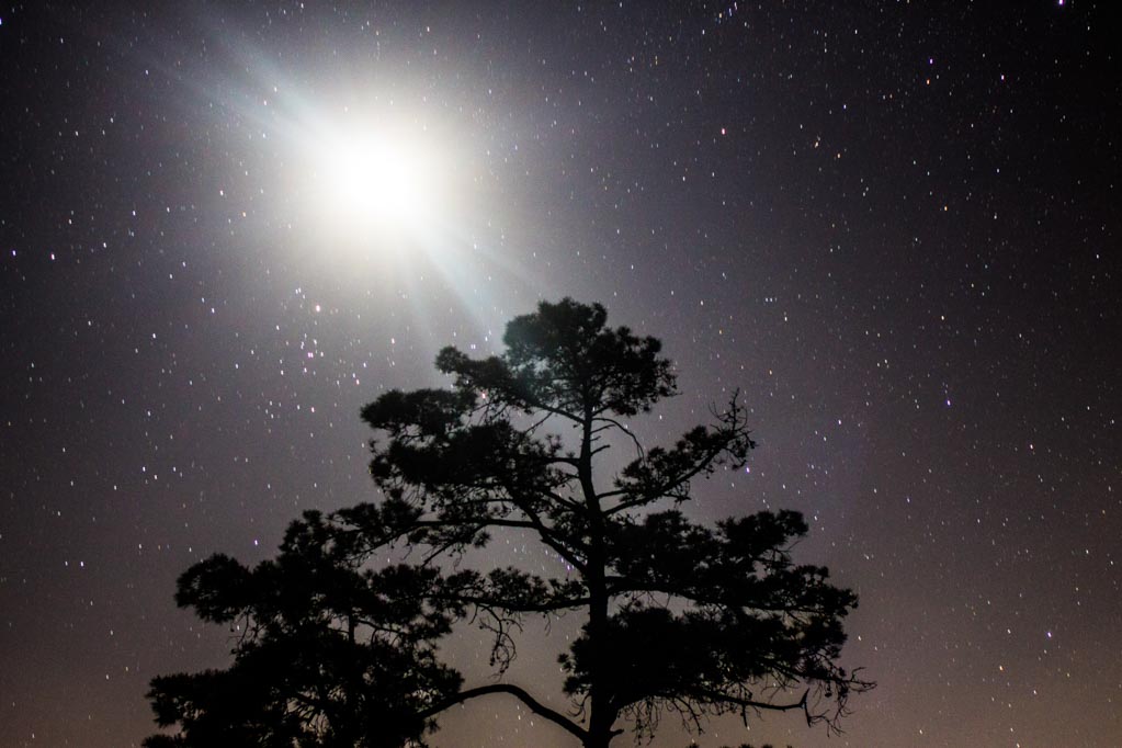 Iram Ortega 👁 tweet media