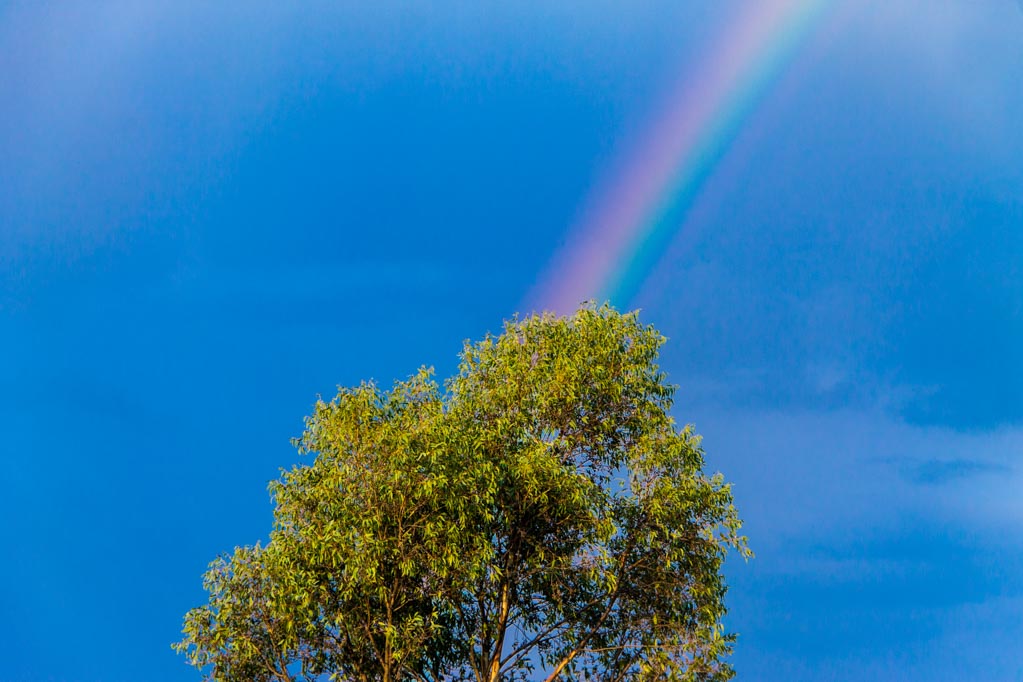 Iram Ortega 👁 tweet media