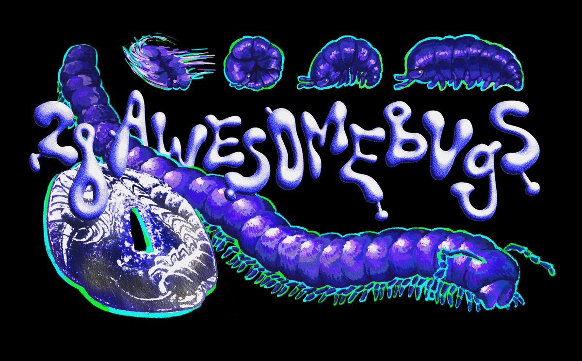 夜鹭日常 tweet media