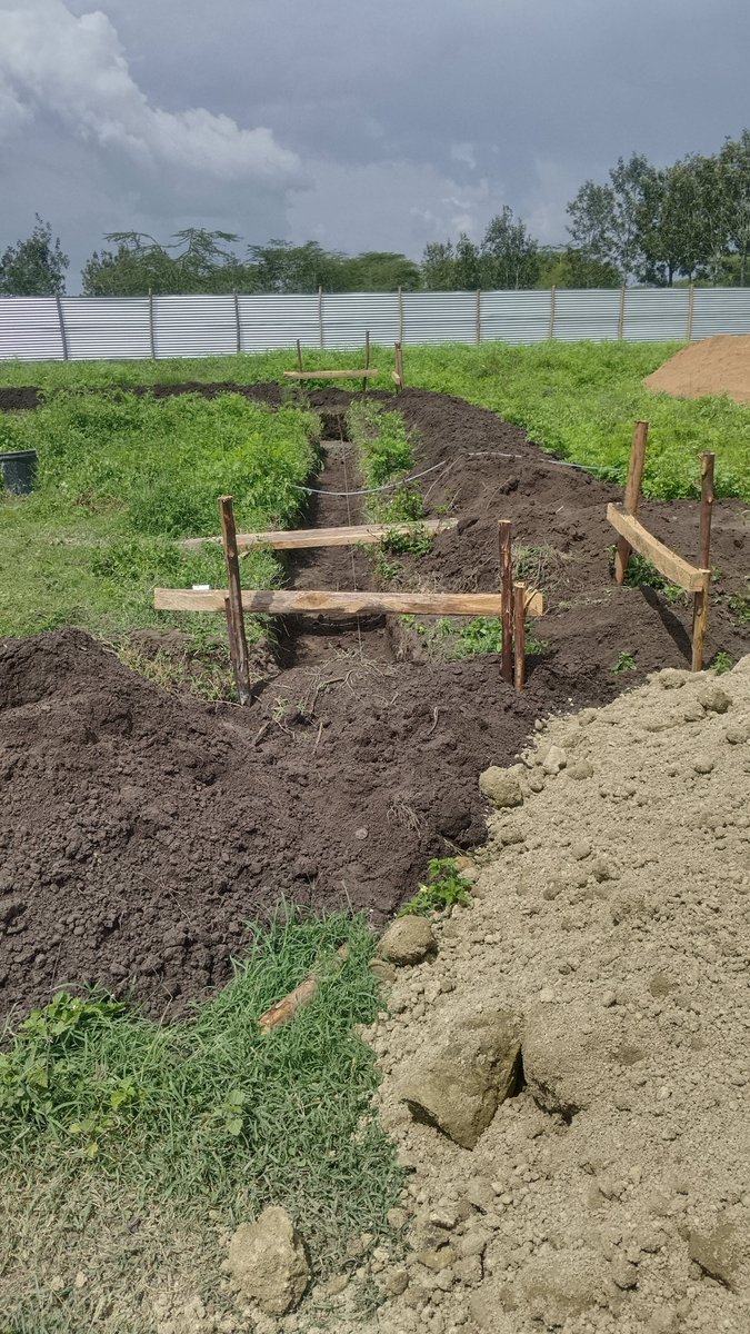 BUILD MOLD CRAFTERS tweet media