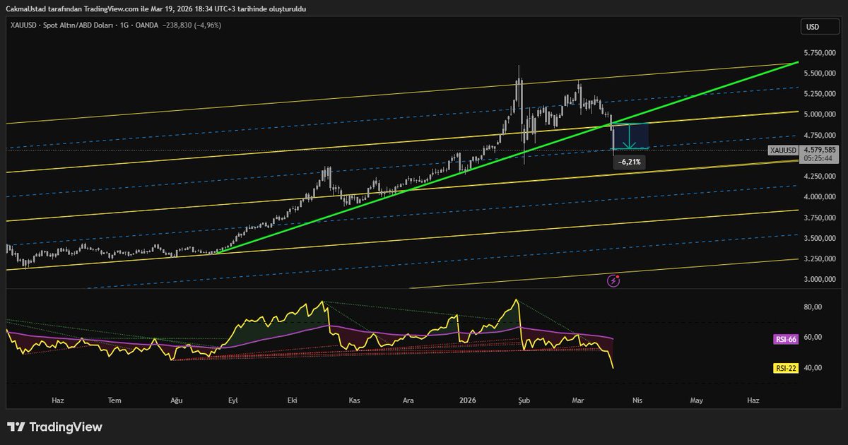 Çakma Üstad tweet media