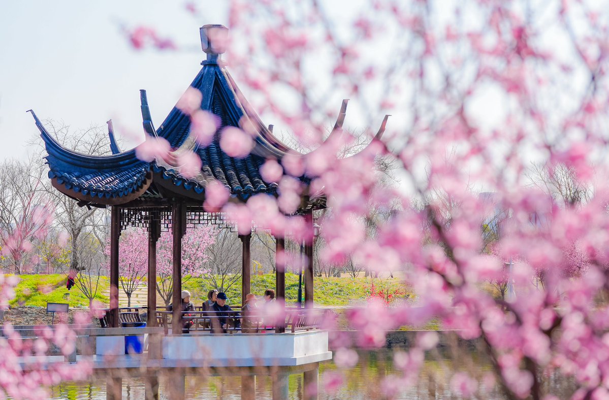 Modern Express 现代快报 tweet media