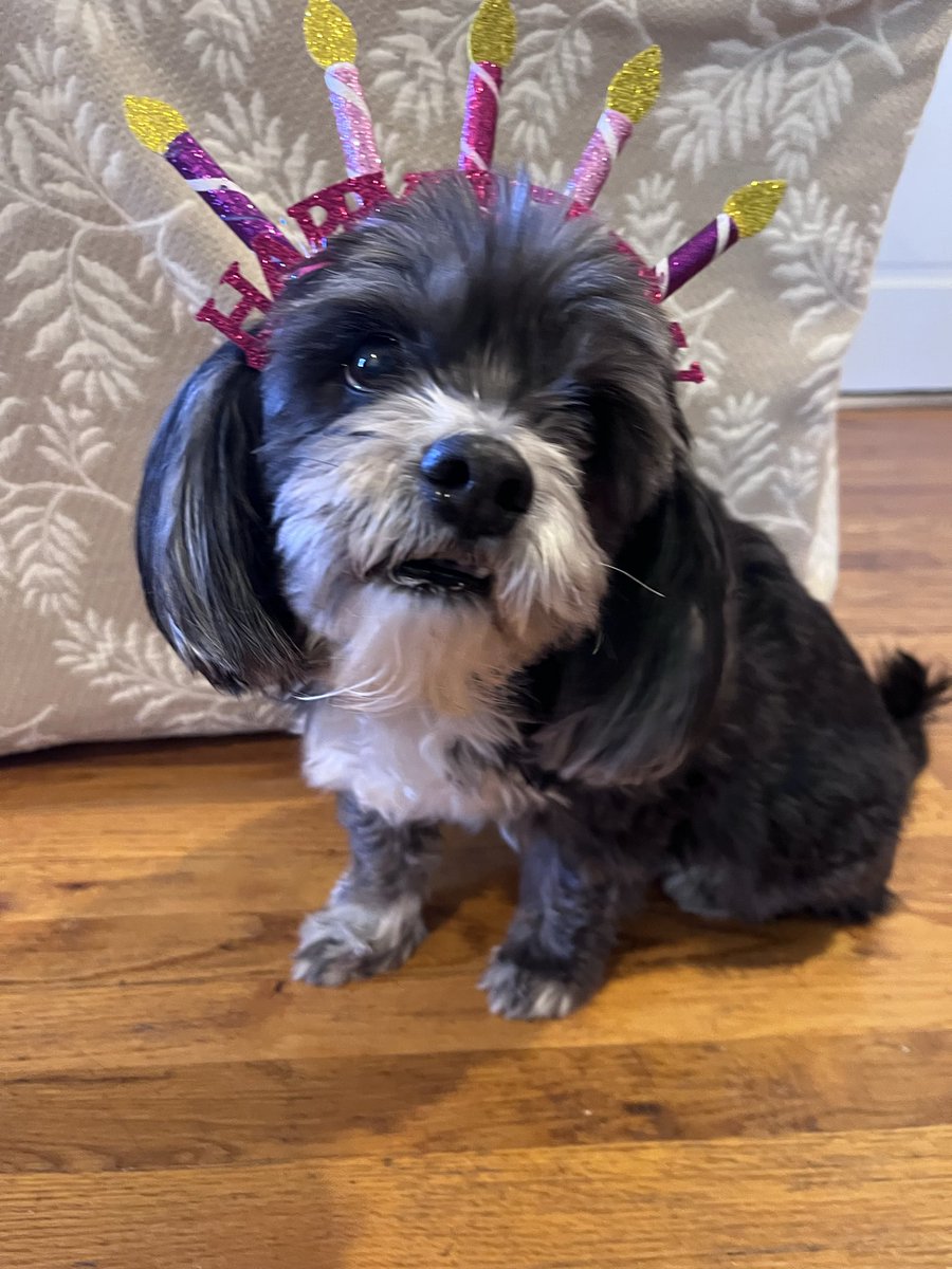 Freebo Jones tweet media