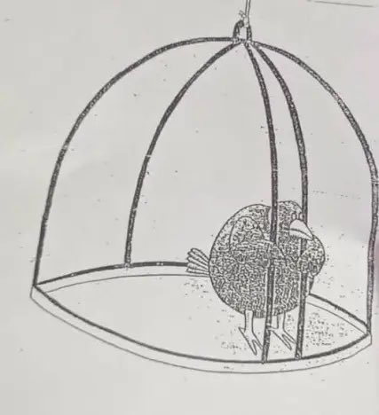 Olivia - (Poulin + Stacey Fan Account atm) tweet media