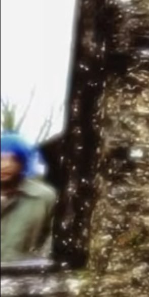 Dorian Electra Updates tweet media