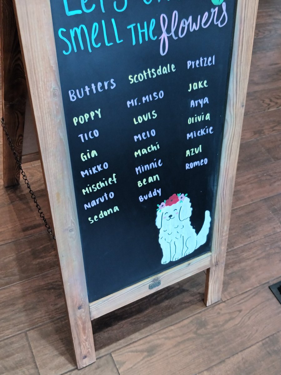 Paufeet || C0MMS OPEN! tweet media