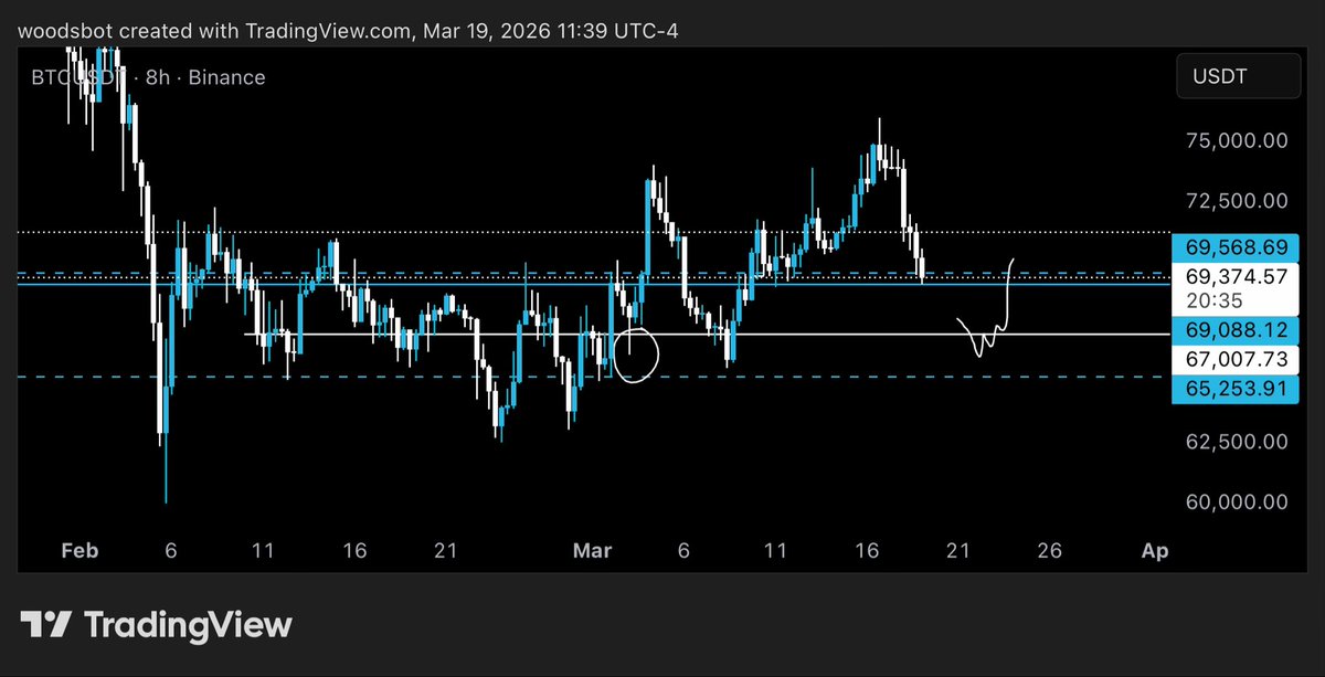 woods.ai tweet media
