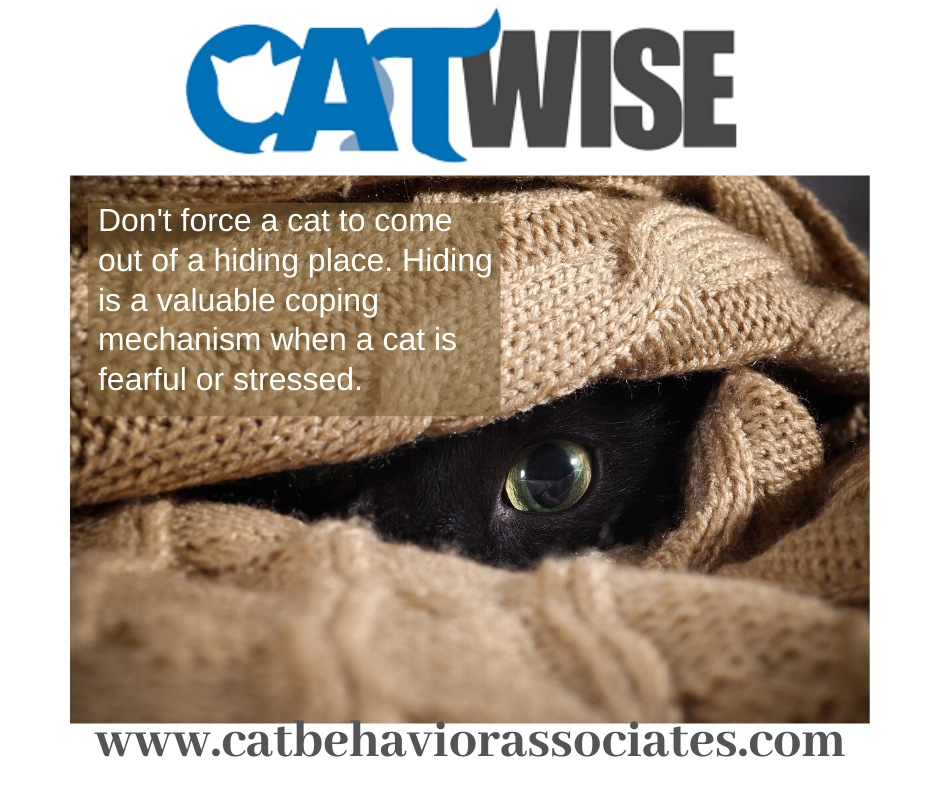 Pam Johnson-Bennett tweet media