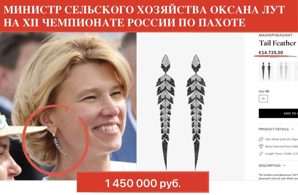 Maria Pevchikh tweet media