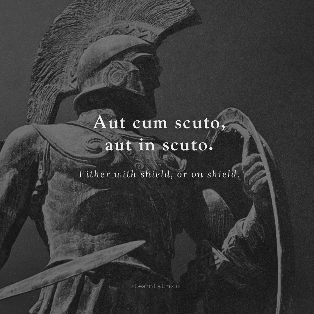 Learn Latin tweet media