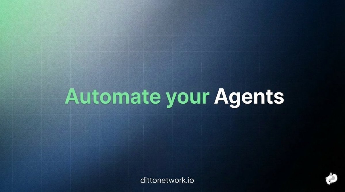 Ditto Network tweet media