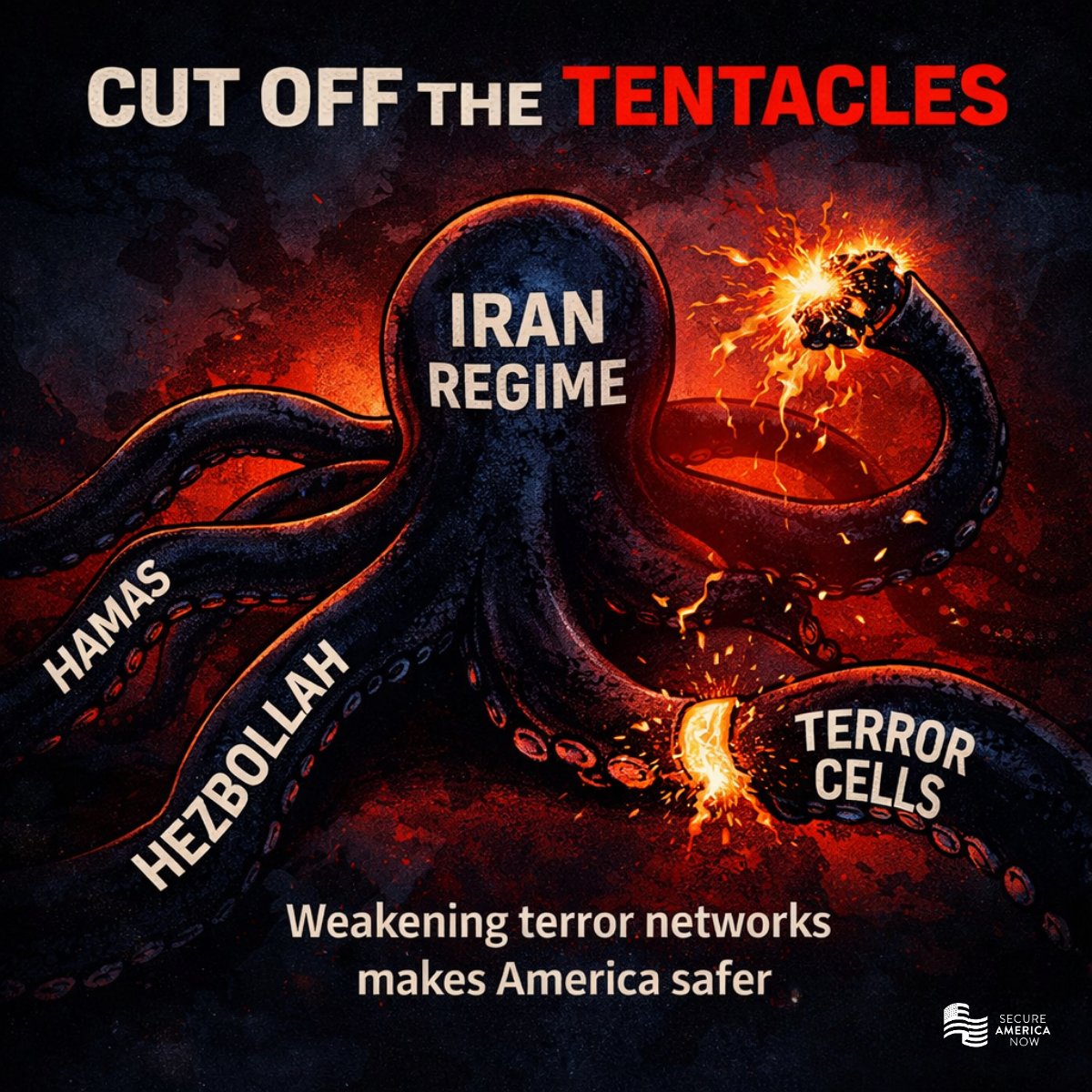 Secure America Now 🇺🇸 tweet media