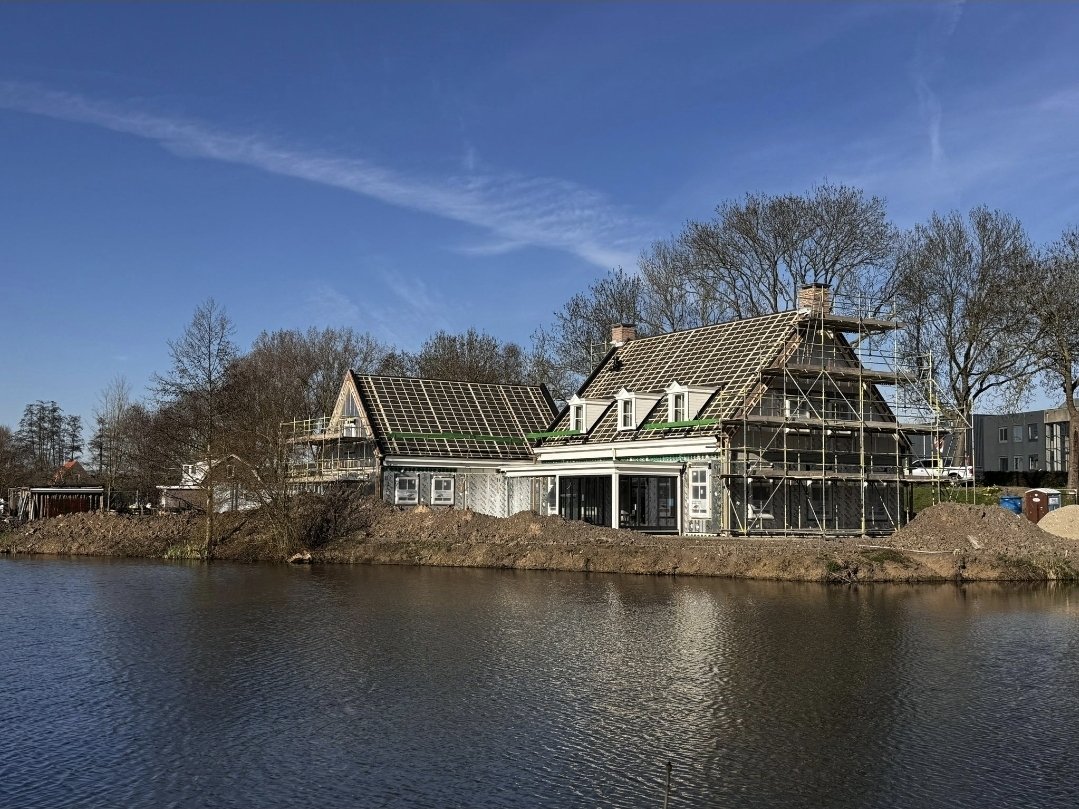 vester71 tweet media